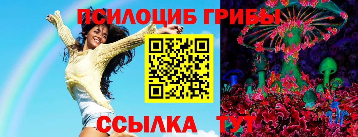 Псилоцибиновые грибы MAGIC MUSHROOMS  Вход с VPN  Троицк 